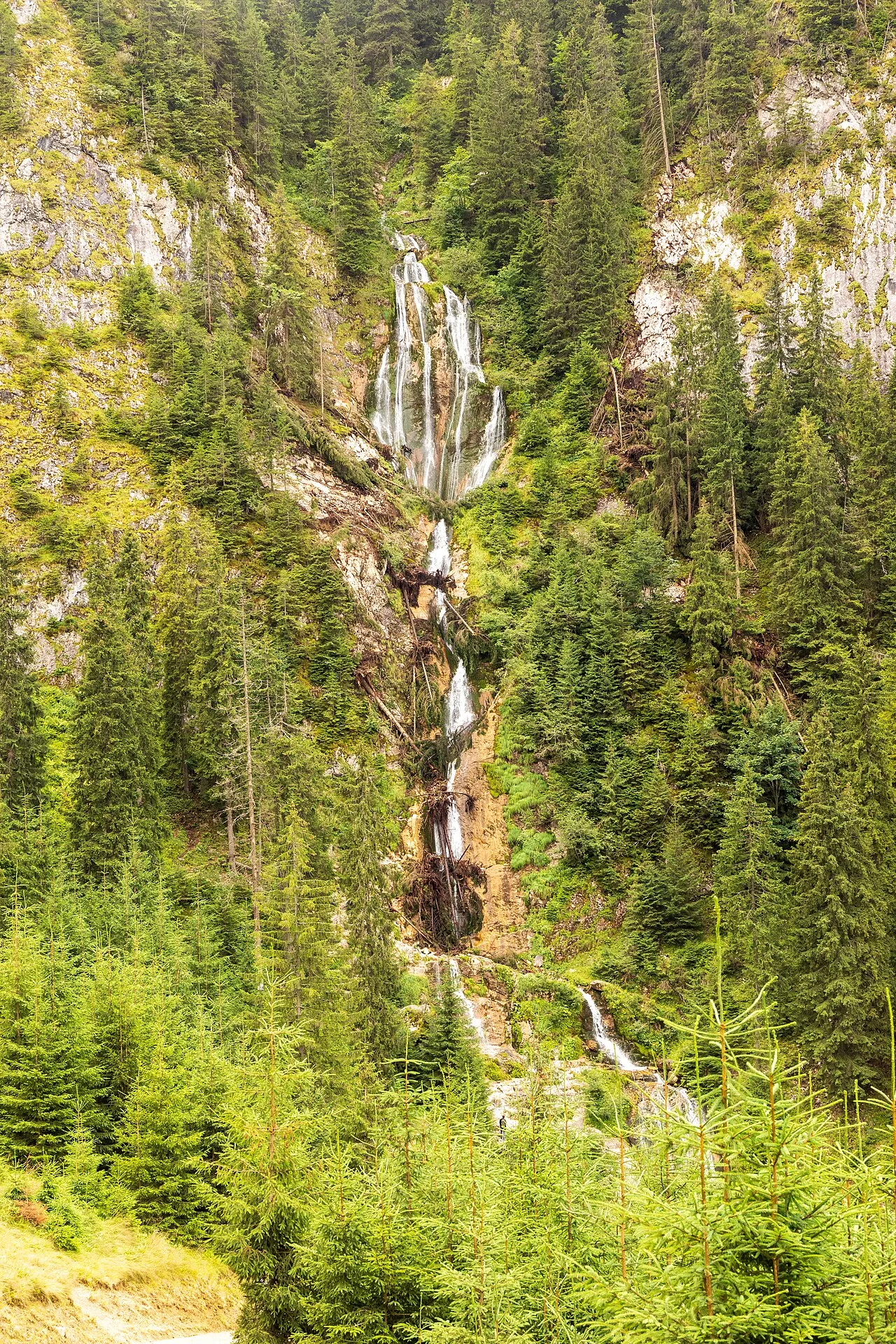Cascada Cailor