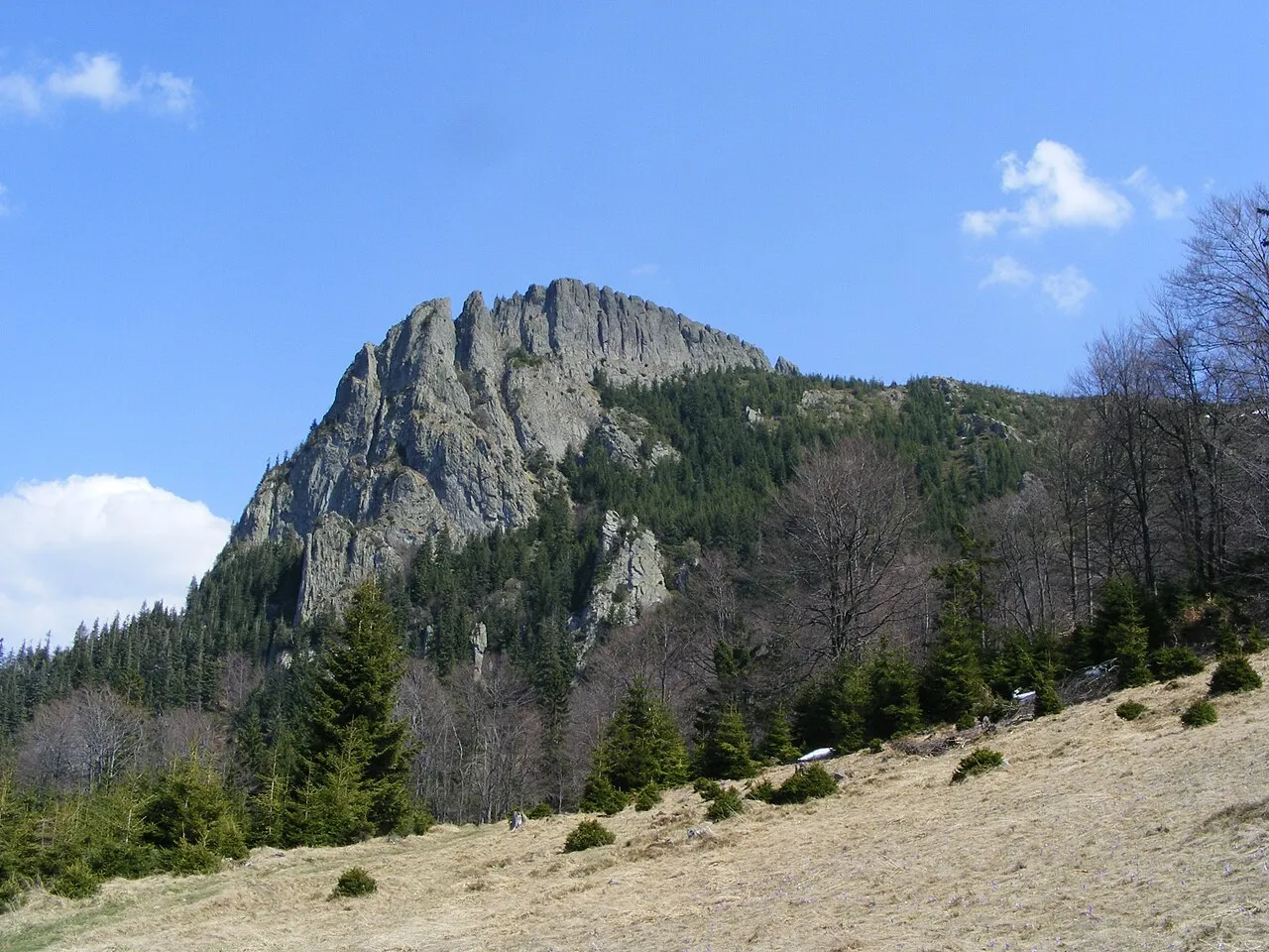Creasta Cocoșului
