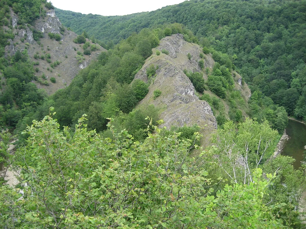 Cheile Lăpușului