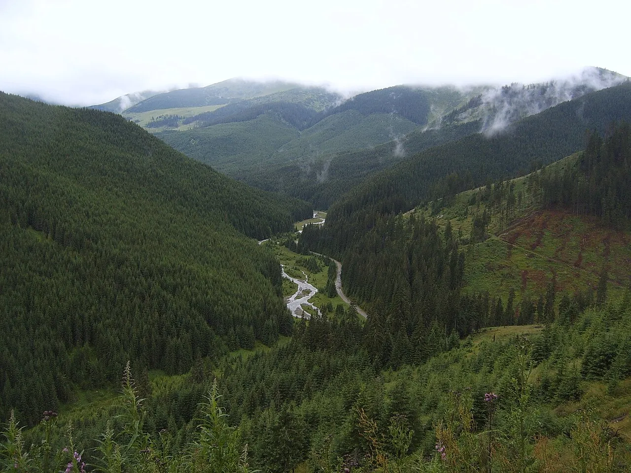 Pasul Prislop